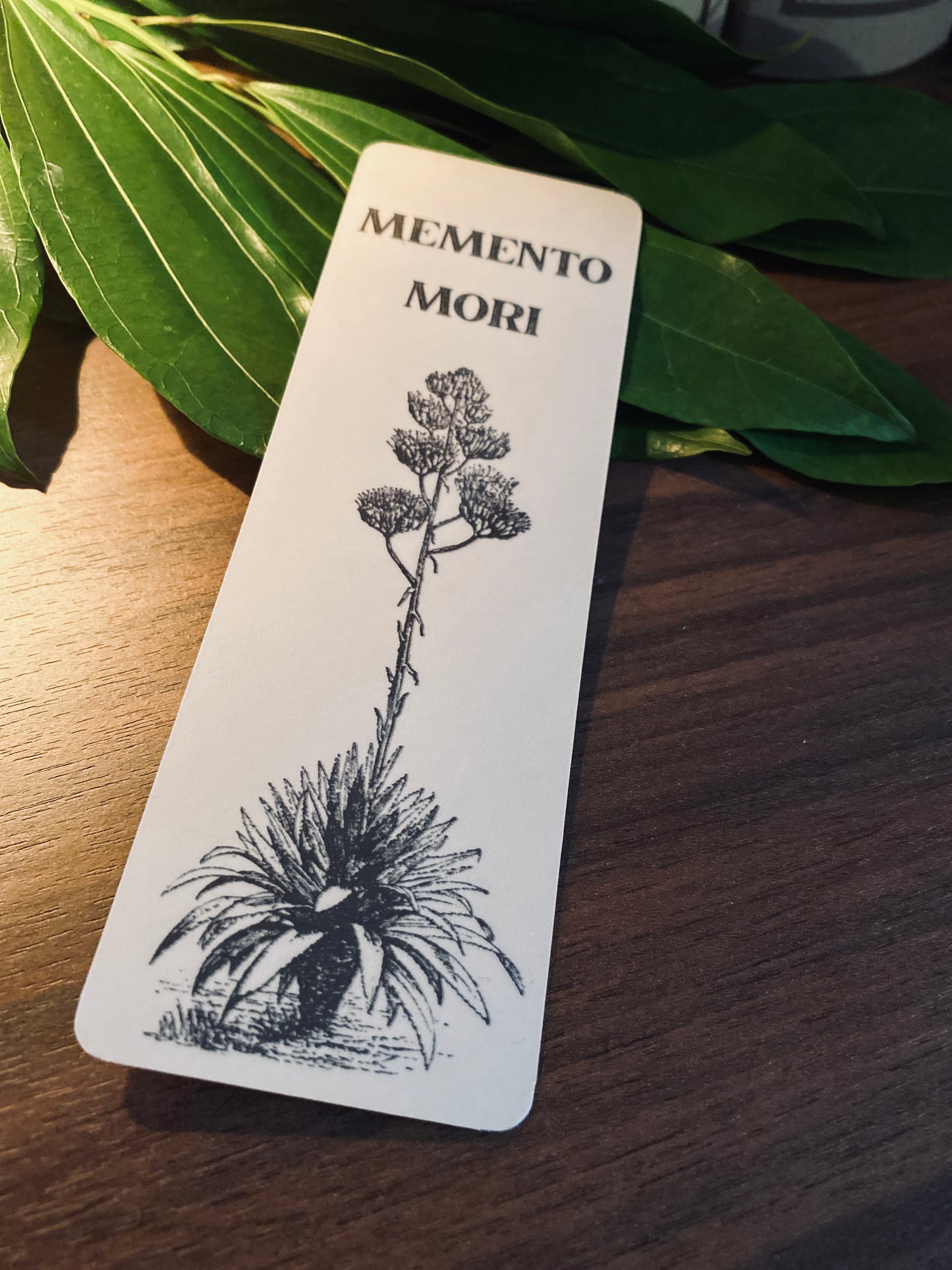 “Memento Mori” Agave Death Bloom Bookmark