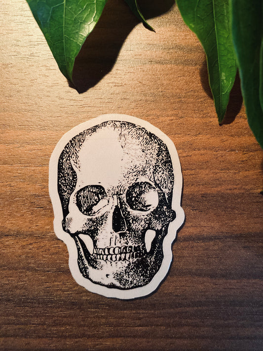 Skull Sticker